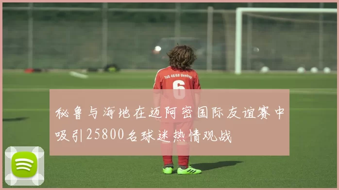 秘鲁与海地在迈阿密国际友谊赛中吸引25800名球迷热情观战